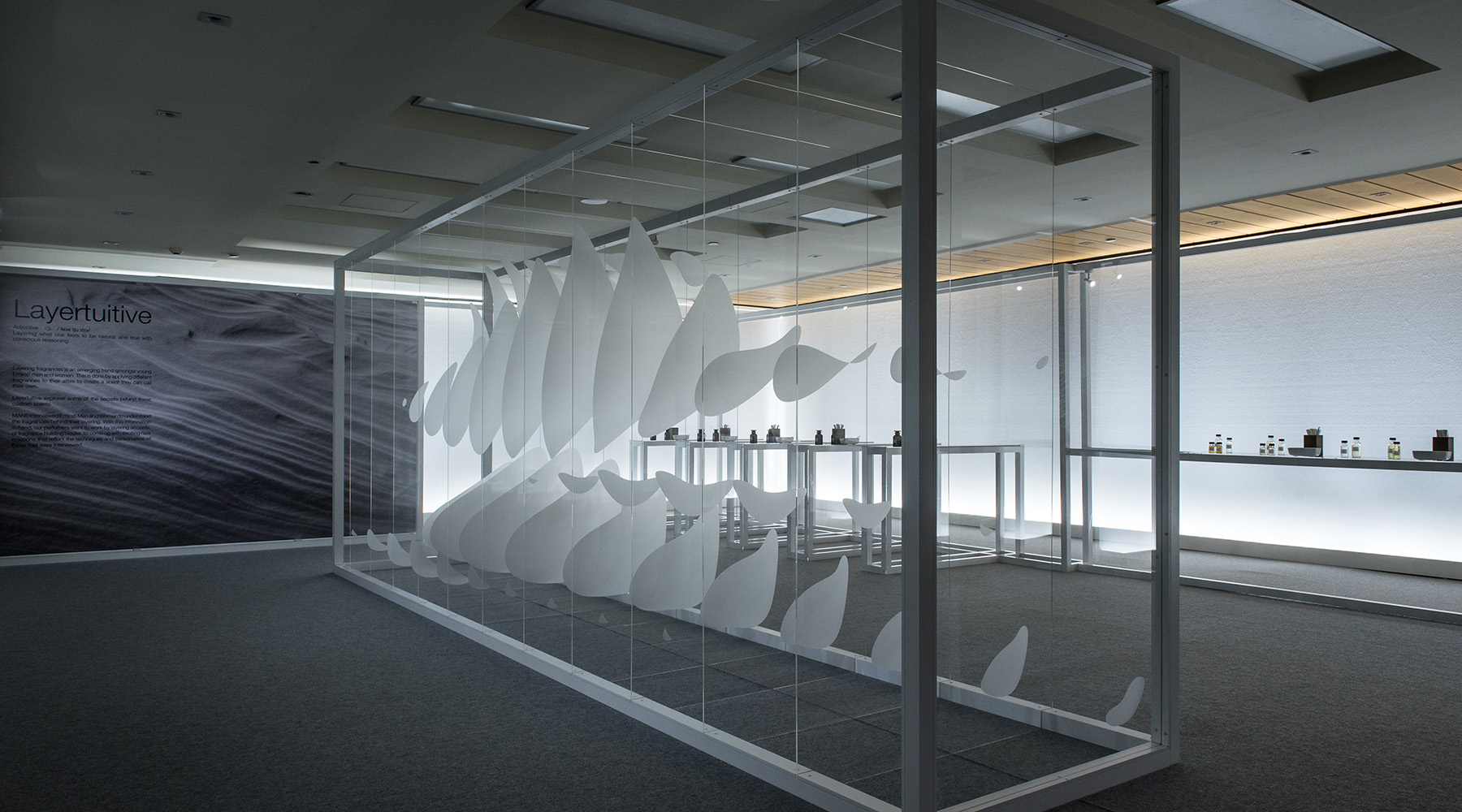 MANE 2017 Layertuitive